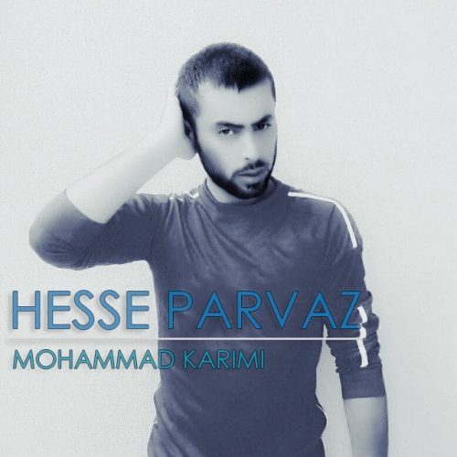 Mohammad Karimi – Hesse Parvaz