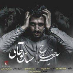 دانلود آهنگ علیرضا مداح احساس تو خالی