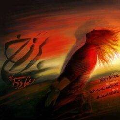Player Cover