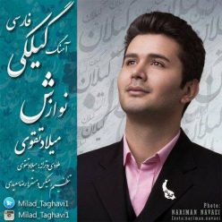 Milad Taghavi – Navazesh