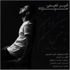Amir Naeimi – 13