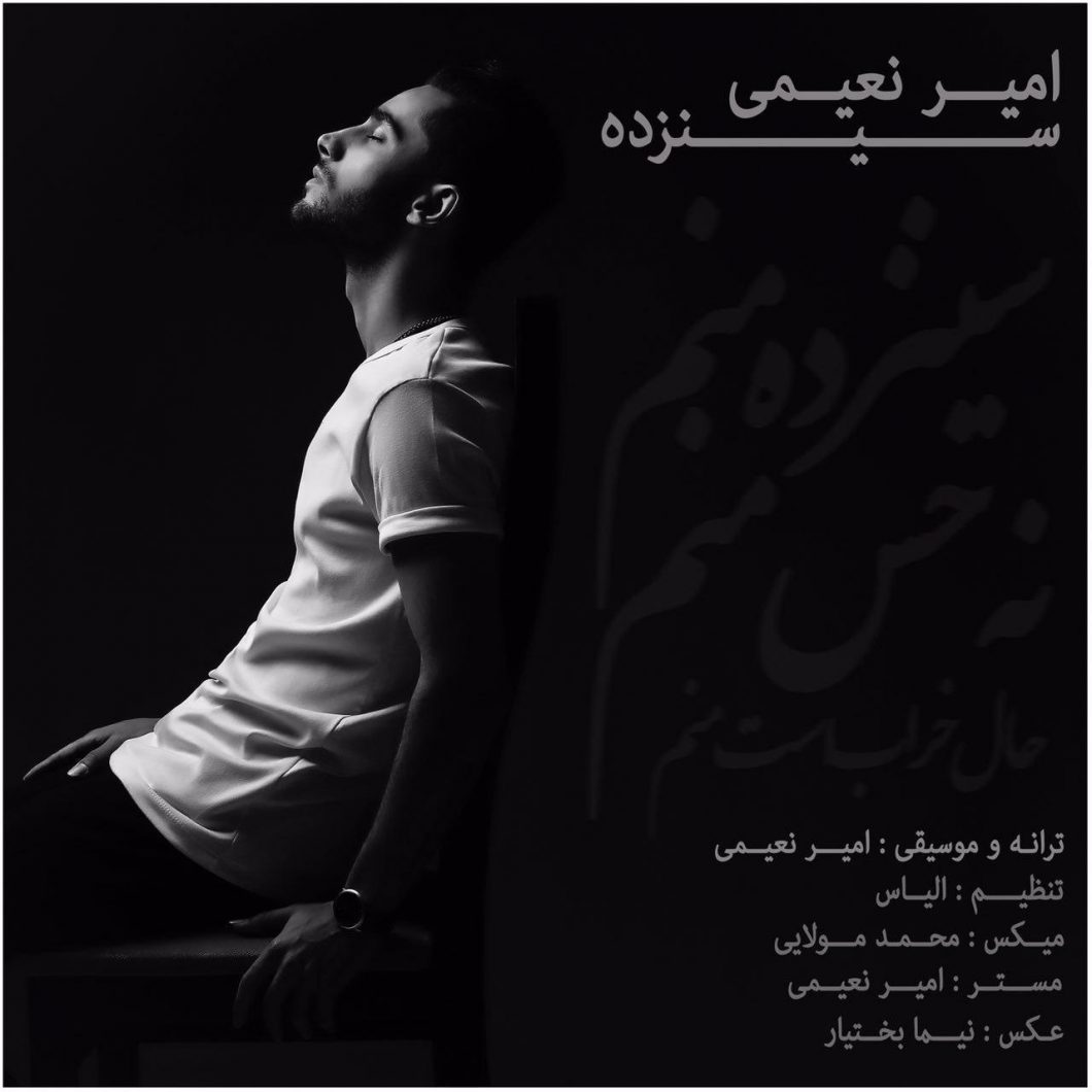 Amir Naeimi – 13
