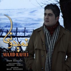 Majid Rafiei – Nemidooni
