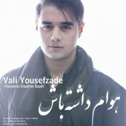 دانلود آهنگ ولی یوسف زاده هوامو داشته باش