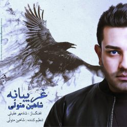 دانلود آهنگ شاهین متولی از این که بدجوری