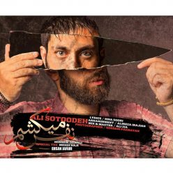 Player Cover