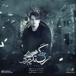 Player Cover
