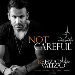 دانلود آهنگ مجتبی ولی زاده مرغ شب