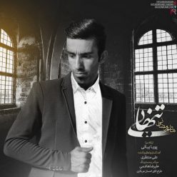 Player Cover