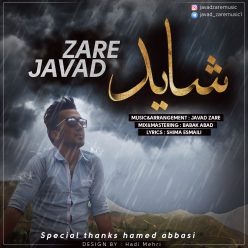 دانلود آهنگ جواد زارع شاید