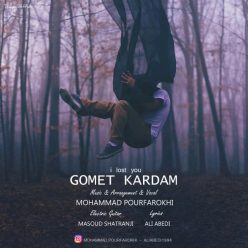 دانلود آهنگ محمد پورفرخی واسه سرما نیست