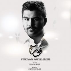 Pooyan Mokhberi – Nemitarsam