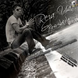 Player Cover