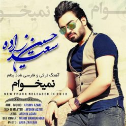 Saeed Hossien Zadehde – Nemikham