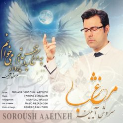 دانلود آهنگ سروش آیینه مرغ شب