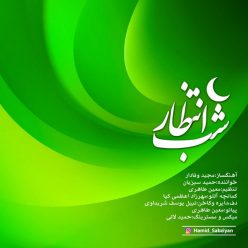 Hamid Sabziyan – Shabe Entezar