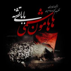 Hamoon Hashemi – Babaye Teshneh