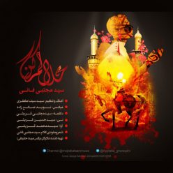 Mojtaba Faani – Halalam Kon