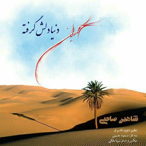 Shahin Sahebi – Donya Delesh Gerefte