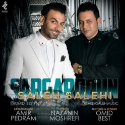 دانلود آهنگ صالح صالحی شوخی