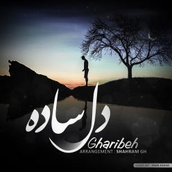 دانلود آهنگ