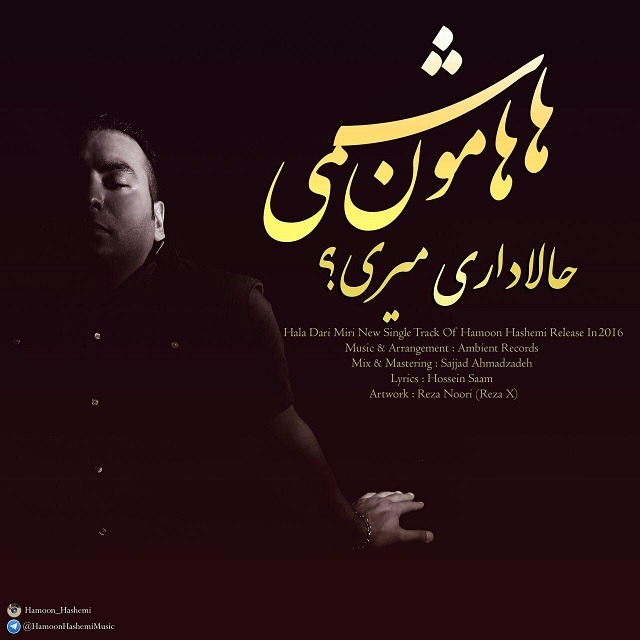 Hamoon Hashemi – Hala Dari Miri