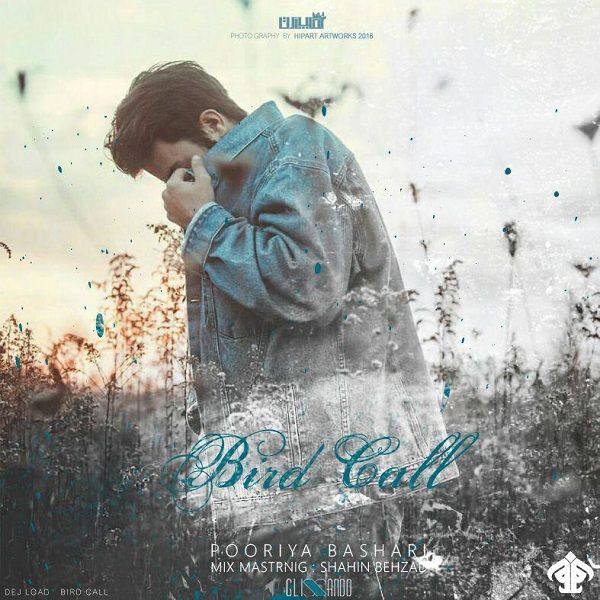 Pooriya Bashari – Bird Call