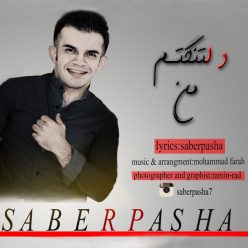 دانلود آهنگ صابر پاشا دلتنگم من