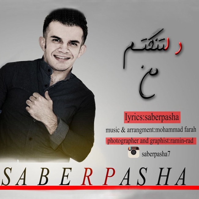 دانلود آهنگ صابر پاشا دلتنگم من