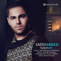 دانلود آهنگ احمد سعیدی وابستت شدم