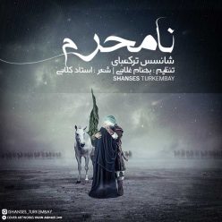 دانلود آهنگ ماهنیلارین گوزلی ماهنیلارین گوزلی