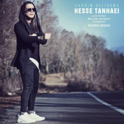 دانلود آهنگ جدید شاهین دلیوند حس تنهایی