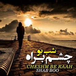 دانلود آهنگ اشکان شاه محمدی دور دور شبونه