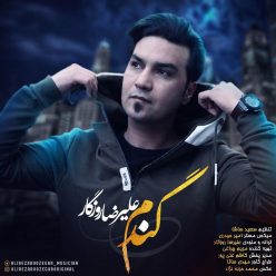 Player Cover