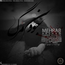 دانلود آهنگ سید مهدی حمزه بابای مهربون