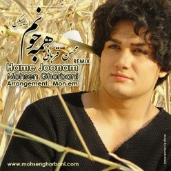 دانلود آهنگ محسن قربانی همه جونم
