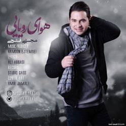 دانلود آهنگ مجتبی فتحی دل