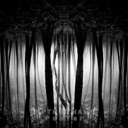 PooYar – Depth Dynamic