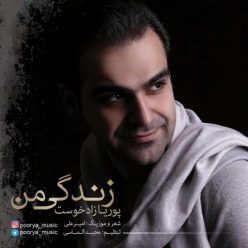 دانلود آهنگ امیرعلی و پوریا زادخوست امسال چه سالیه