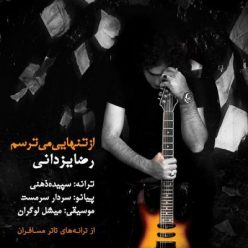 Player Cover