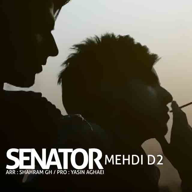 Mehdi D2 – Senator