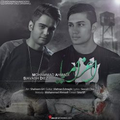 Siavash Diez & Mohammad Ahmadi – Ezamia