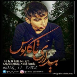 دانلود آهنگ امیر علیمردانی کاشکی ندیده بودمت