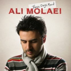 Player Cover