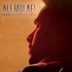 Player Cover