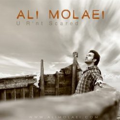 Player Cover