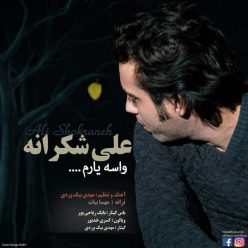 دانلود آهنگ علی شکرانه واسه یارم