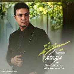 Player Cover