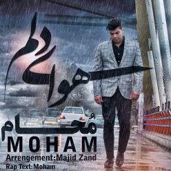 دانلود آهنگ محمد طاها اعتمادی زمزمه ی عاشقی