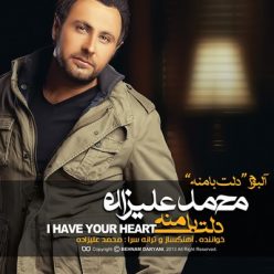 Mohammad Alizadeh – Bargard